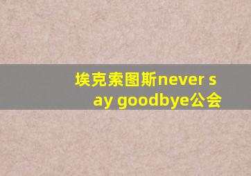 埃克索图斯never say goodbye公会